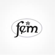 Fem Logo